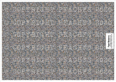 Road - Paper Resources Digital Pack