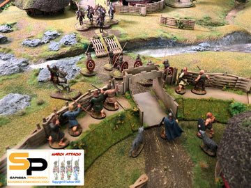 Embankment Wattle Palisade