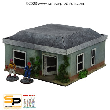 Rural America - Woodbury House 4